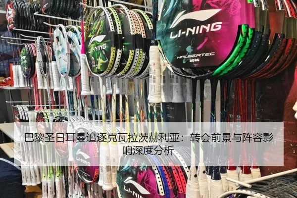 ba-li-sheng-ri-er-man-zhui-zhu-ke-wa-la-ci-he-li-ya-zhuan-hui-qian-jing-yu-zhen-rong-ying-xiang-shen-du-fen-xi-2-541.jpg